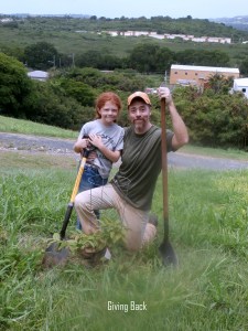 Planting trees to replace the ones cut down that were affecting the wind turnbine