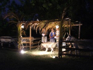 Nativity 2013 010