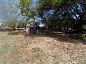 SAMSUNG CAMERA PICTURES